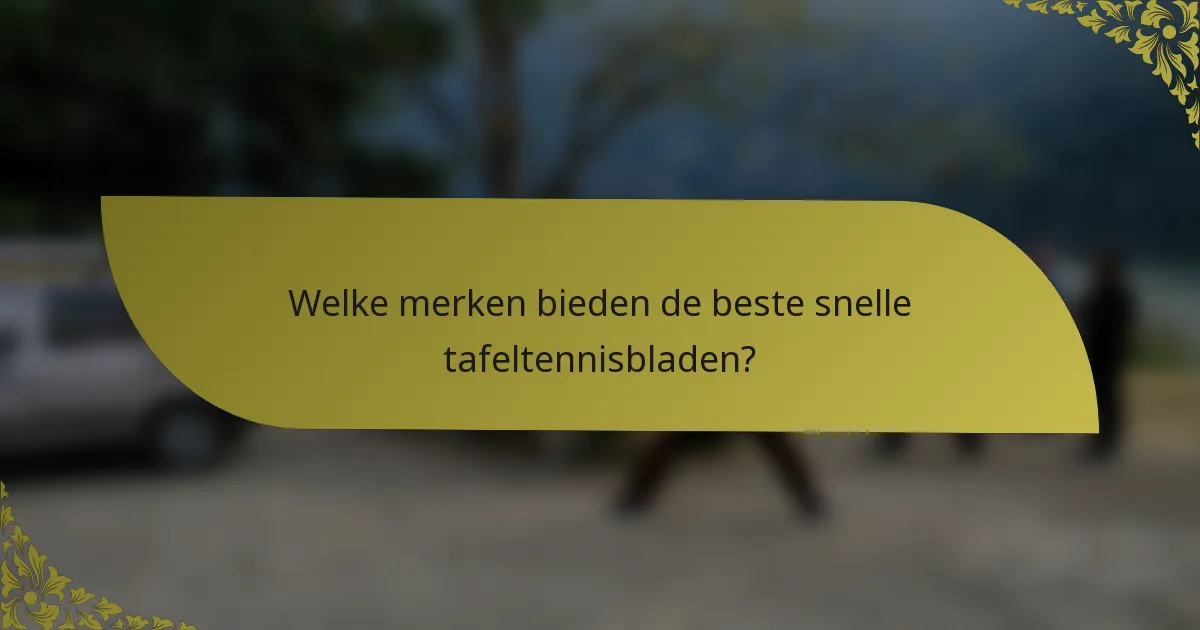 Welke merken bieden de beste snelle tafeltennisbladen?